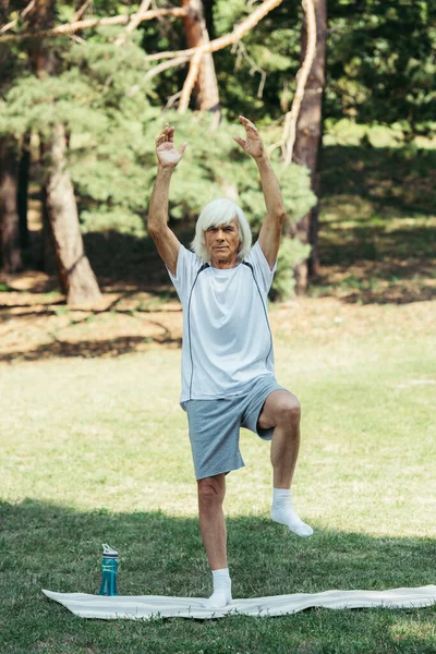 Full Length Senior Man Raised Hands Exercising Fitness Mat Park — Stockfoto