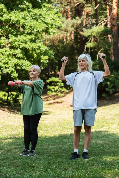 Full Length Cheerful Senior Couple Sportswear Exercising Dumbbells Green Park — Stok fotoğraf