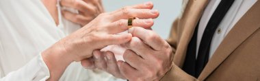 cropped view of groom wearing golden engagement ring on finger of bride in white dress isolated on grey, banner