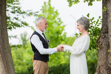 side view of cheerful mature man in formal wear holding hands with smiling bride in wedding dress in garden