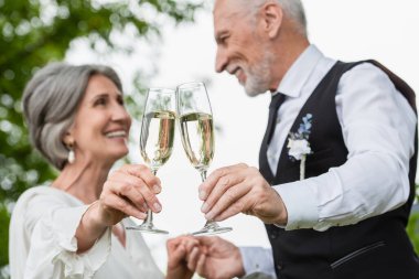 blurred and mature newlyweds smiling while clinking glasses of champagne in green garden 