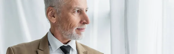 bearded middle aged man in suit with tie looking away near white curtains, banner