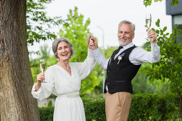 Joyful Mature Newlyweds Holding Glasses Champagne Green Garden — Foto Stock