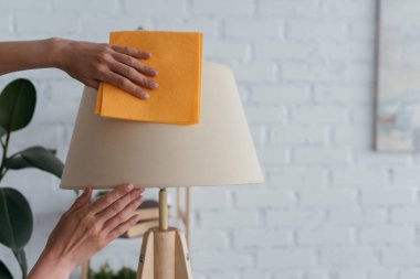 partial view of housewife cleaning lamp with soft rag