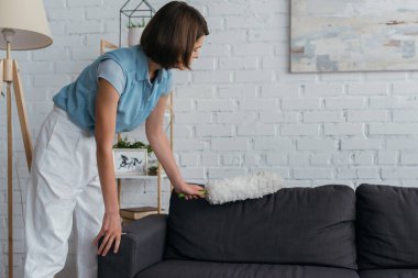  brunette woman cleaning sofa with dust brush in living room