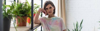 Brunette woman looking at camera near plants on cupboard at home, banner 