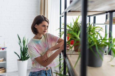Young woman looking at potted plants on cupboard at home 