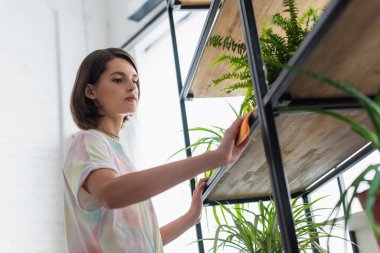 Low angle view of woman cleaning cupboard with plants at home 