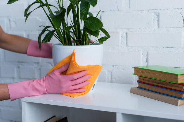 обрезанный вид женщины в резиновых перчатках вытирая цветочный горшок рядом с книгами