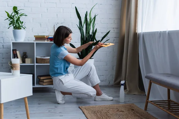 side view of young woman cleaning potted plant in living room