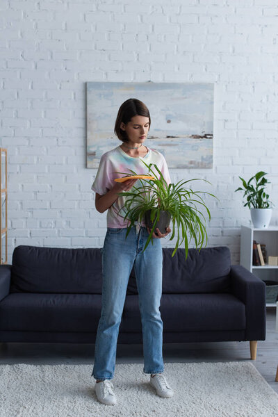 Brunette woman holding rag and plant while standing at home 
