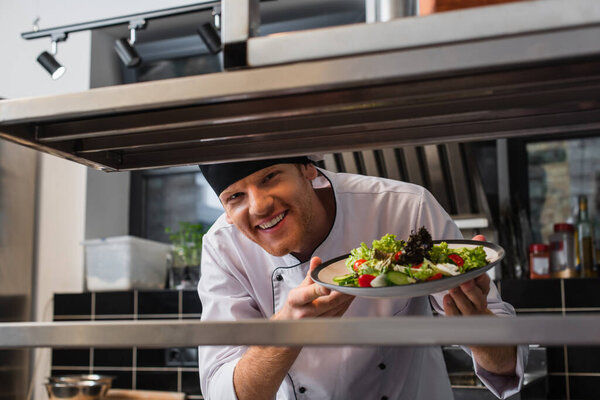cheerful chef holding plate with freshly cooked salad in professional kitchen