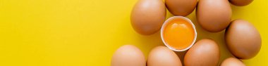 Top view of eggs near yolk in shell on yellow background, banner  clipart