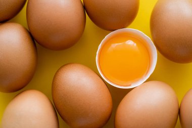 Sarı arka planda yumurtaların yanında kabuklu taze yumurta sarısının yakın görüntüsü 