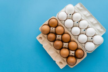 Mavi arka plandaki tepsilerde çiğ kahverengi ve beyaz yumurtaların üst görünümü