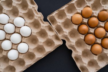 Siyah arka planda karton tepside beyaz ve kahverengi tavuk yumurtalarının üst görüntüsü 