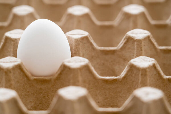 Close up view of white egg in recyclable cardboard tray 