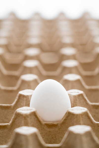 Close up view of chicken egg in blurred carton container isolated on white 