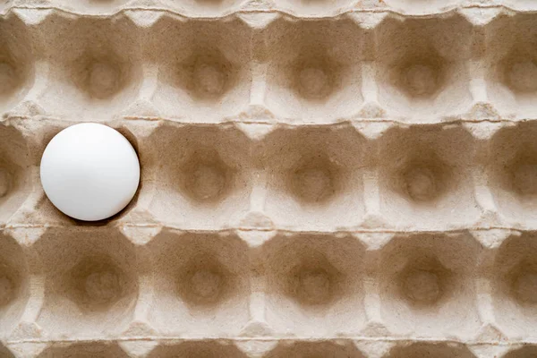Top view of white and raw egg in recyclable carton container