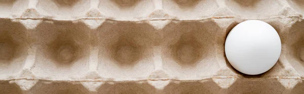 Vista Superior Huevo Gallina Blanca Caja Cartón Reciclable Pancarta —  Fotos de Stock