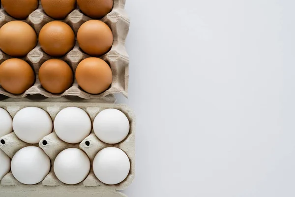 Vista Superior Huevos Naturales Recipientes Sobre Fondo Blanco — Foto de Stock