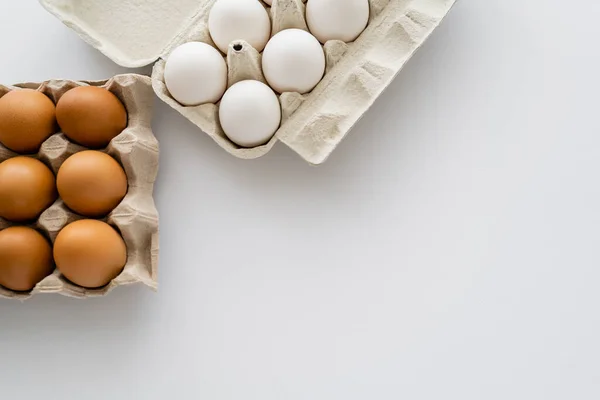 Bovenaanzicht Van Biologische Eieren Kartonnen Verpakkingen Witte Achtergrond — Stockfoto