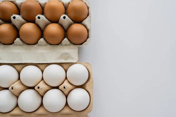 Vista Superior Huevos Pollo Frescos Cajas Sobre Fondo Blanco — Foto de Stock