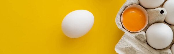 Top view of natural yolk in shell near white eggs in container on yellow background, banner 