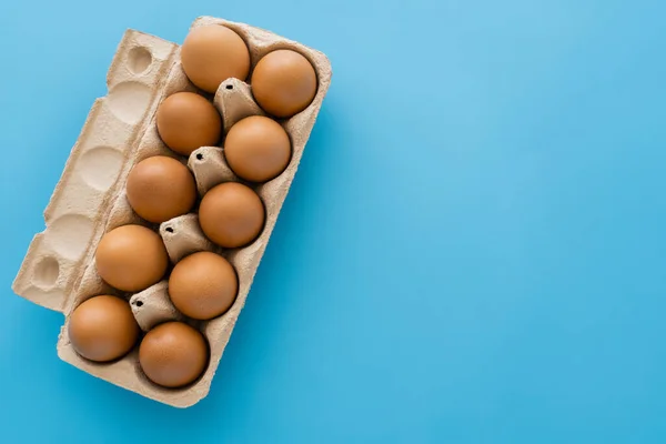 Top View Fresh Brown Eggs Carton Tray Blue Background — Stock Photo, Image