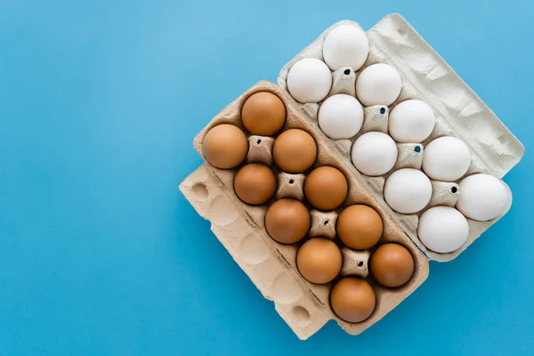 Bovenaanzicht Van Rauwe Bruine Witte Eieren Dienbladen Blauwe Achtergrond — Stockfoto