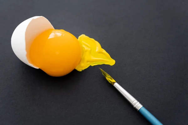 Top View Paintbrush Egg Yolk Shell Black Background — Stock Photo, Image