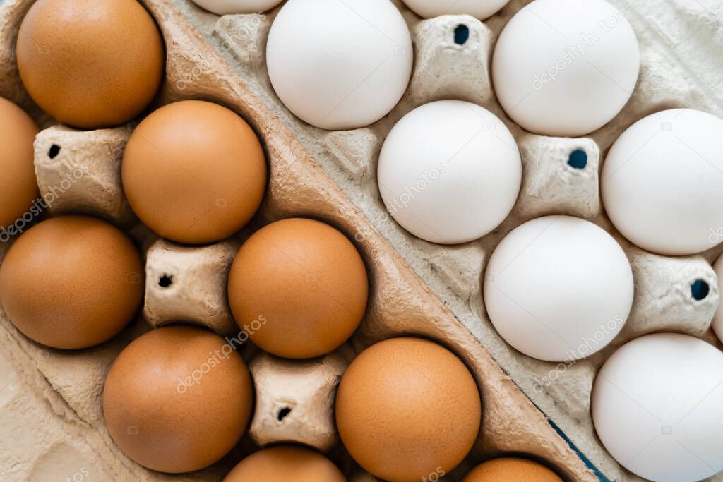 Top view of brown and white chicken eggs in carton trays 