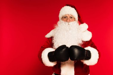 Sakallı Noel Baba boks eldivenleriyle kırmızı arka plandaki kameraya bakıyor. 