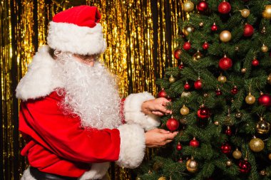 Bearded santa claus decorating christmas tree with balls near tinsel  clipart