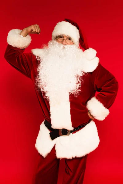 Santa claus in costume showing muscle on arm on red background
