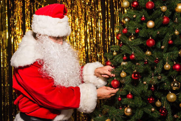 Бородатый Санта Клаус украшает рождественскую елку шарами возле мишуры 