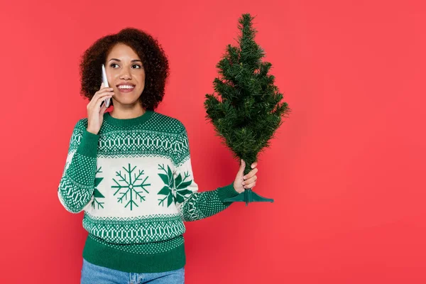 白いセーターを着た陽気なアフリカ系アメリカ人女性が小さなクリスマスツリーを持っていて — ストック写真