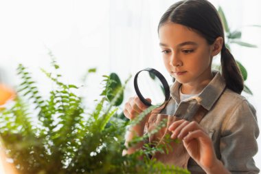 Önlüklü bir çocuk elinde büyüteçle evde yeşil bir fabrikanın yanında 