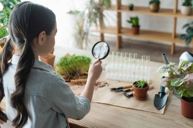 Evde elinde büyüteç, bitkiler ve test tüpleri olan bir kız. 