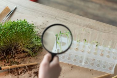 Evde bitkilerle birlikte test tüplerinin yanında büyüteç tutan çocuk görüntüsü. 