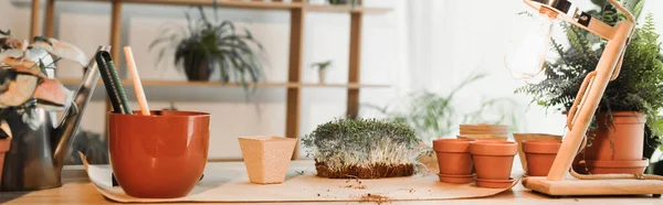 Pflanzen Und Gartengeräte Hause Auf Dem Tisch Banner — Stockfoto