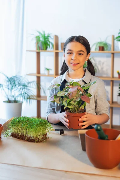 Sorrindo Menina Segurando Planta Perto Ancinho Vaso Casa — Fotografia de Stock