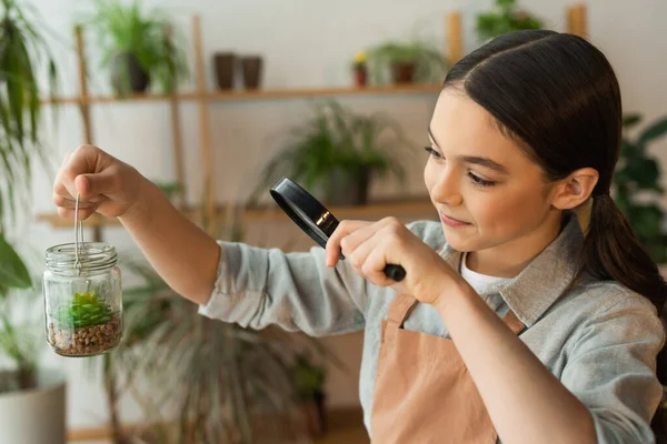 Leende Unge Förkläde Håller Förstoringsglas Och Burk Med Växt Hemma — Stockfoto