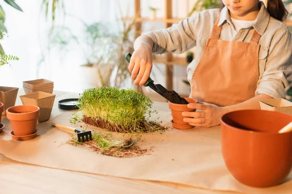 Vista Ritagliata Della Ragazza Versando Terreno Vaso Vicino Microverde Rastrello — Foto Stock