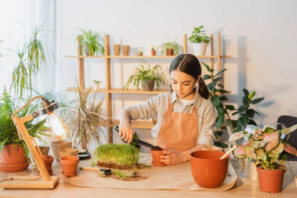 Preteen Menina Avental Derramando Chão Vaso Perto Plantas Verdes Lâmpada — Fotografia de Stock