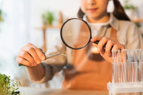 Cropped View Blurred Kid Holding Plant Seed Tweezers Magnifying Glass — Stock Photo, Image