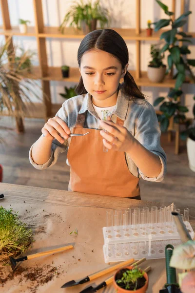 Κορίτσι Ποδιά Που Κρατά Λαβίδες Και Δοκιμαστικό Σωλήνα Κοντά Φυτά — Φωτογραφία Αρχείου