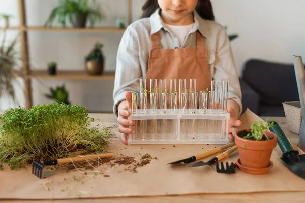 Обрізаний Вид Дитини Тримає Скляні Пробірки Рослинами Біля Садівничих Інструментів — стокове фото