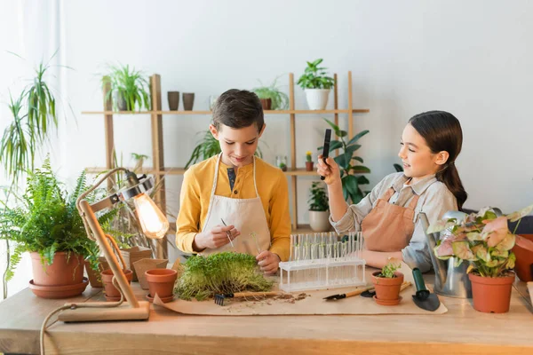 Boy Apron Holding Tweezers Test Tube Plants Friend Home — Stock Photo, Image