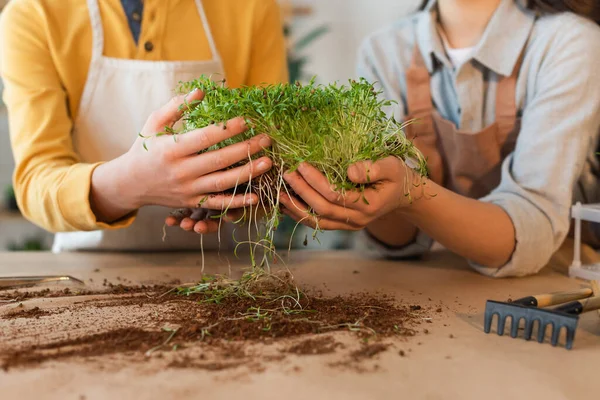Cropped View Blurred Preteen Friends Holding Microgreen Soil Gardening Tools — Stock Photo, Image
